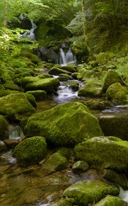 Preview wallpaper water, river, waterfall, stones, moss, greenery, nature