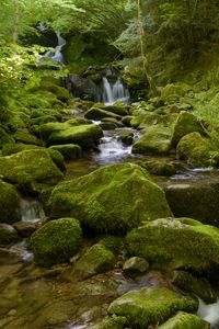 Preview wallpaper water, river, waterfall, stones, moss, greenery, nature