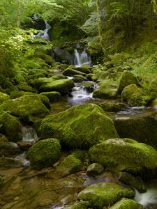 Preview wallpaper water, river, waterfall, stones, moss, greenery, nature
