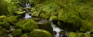 Preview wallpaper water, river, waterfall, stones, moss, greenery, nature