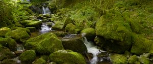 Preview wallpaper water, river, waterfall, stones, moss, greenery, nature