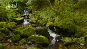 Preview wallpaper water, river, waterfall, stones, moss, greenery, nature