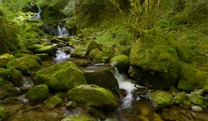 Preview wallpaper water, river, waterfall, stones, moss, greenery, nature