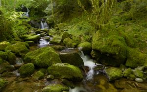 Preview wallpaper water, river, waterfall, stones, moss, greenery, nature