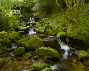 Preview wallpaper water, river, waterfall, stones, moss, greenery, nature