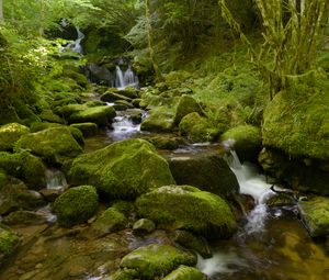 Preview wallpaper water, river, waterfall, stones, moss, greenery, nature