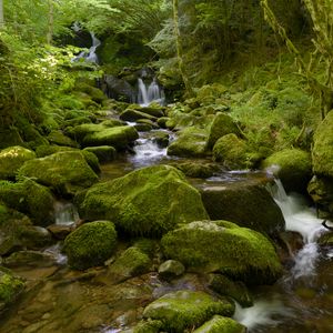 Preview wallpaper water, river, waterfall, stones, moss, greenery, nature