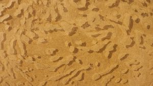 Preview wallpaper water, sand, sandy, bubbles