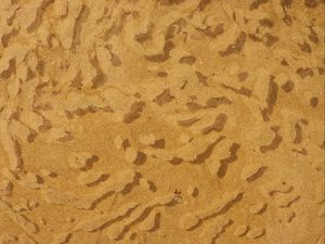 Preview wallpaper water, sand, sandy, bubbles