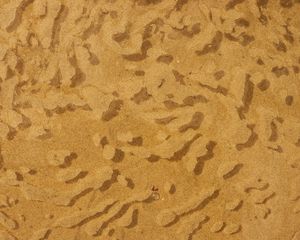 Preview wallpaper water, sand, sandy, bubbles