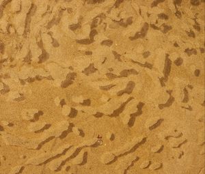 Preview wallpaper water, sand, sandy, bubbles