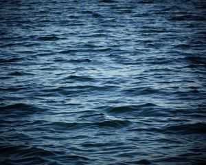 Preview wallpaper water, sea, nature, blue, waves