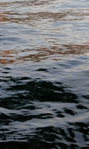 Preview wallpaper water, sea, waves, glare, ripples
