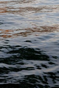 Preview wallpaper water, sea, waves, glare, ripples
