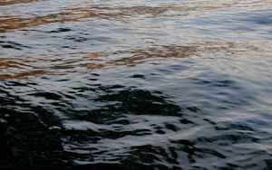 Preview wallpaper water, sea, waves, glare, ripples