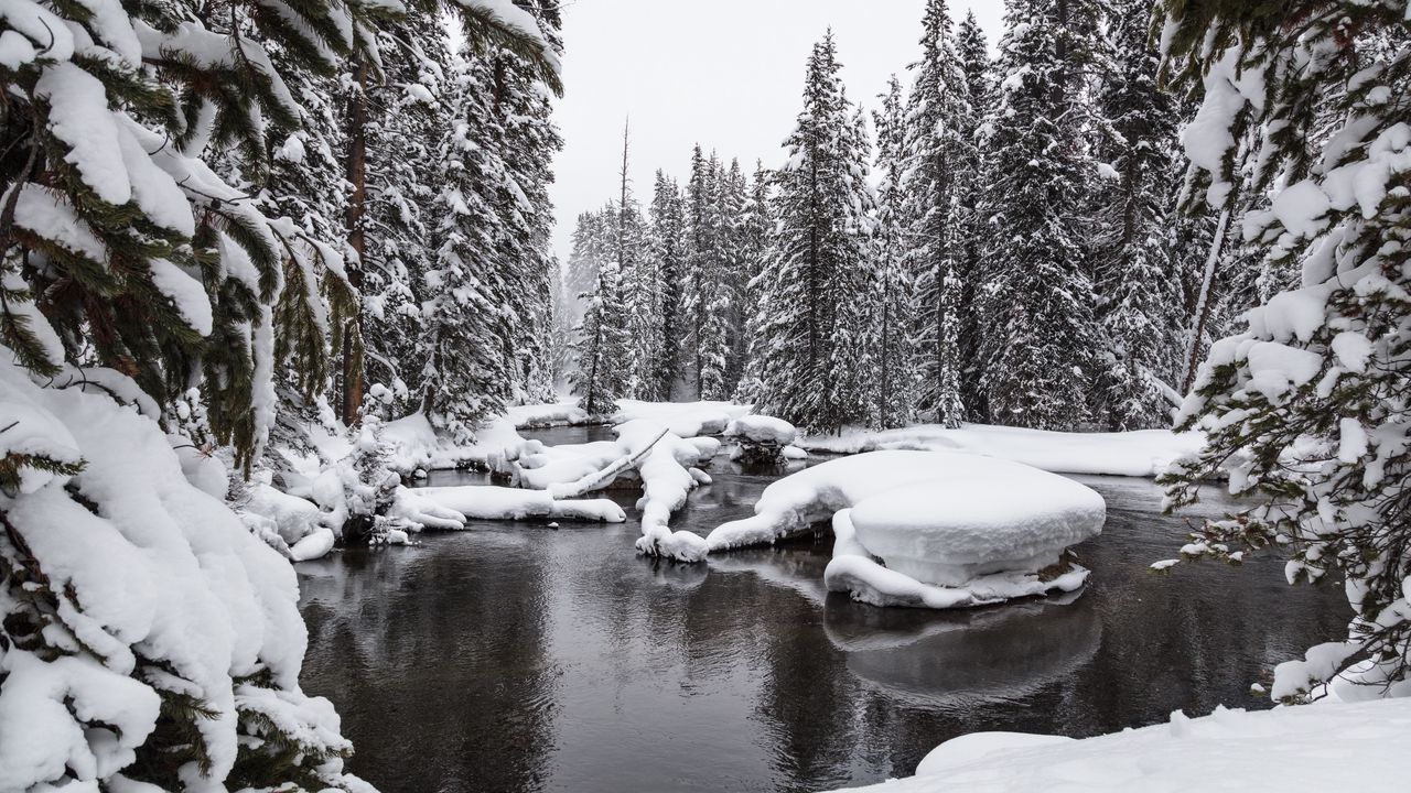 Wallpaper water, snow, forest, snowy