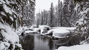 Preview wallpaper water, snow, forest, snowy