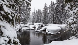 Preview wallpaper water, snow, forest, snowy