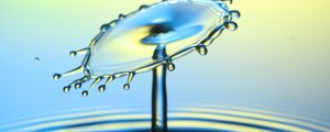 Preview wallpaper water, splash, drops, macro