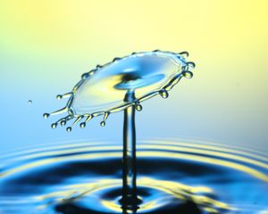 Preview wallpaper water, splash, drops, macro