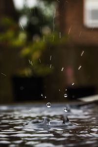 Preview wallpaper water, splashes, drops, macro, blur