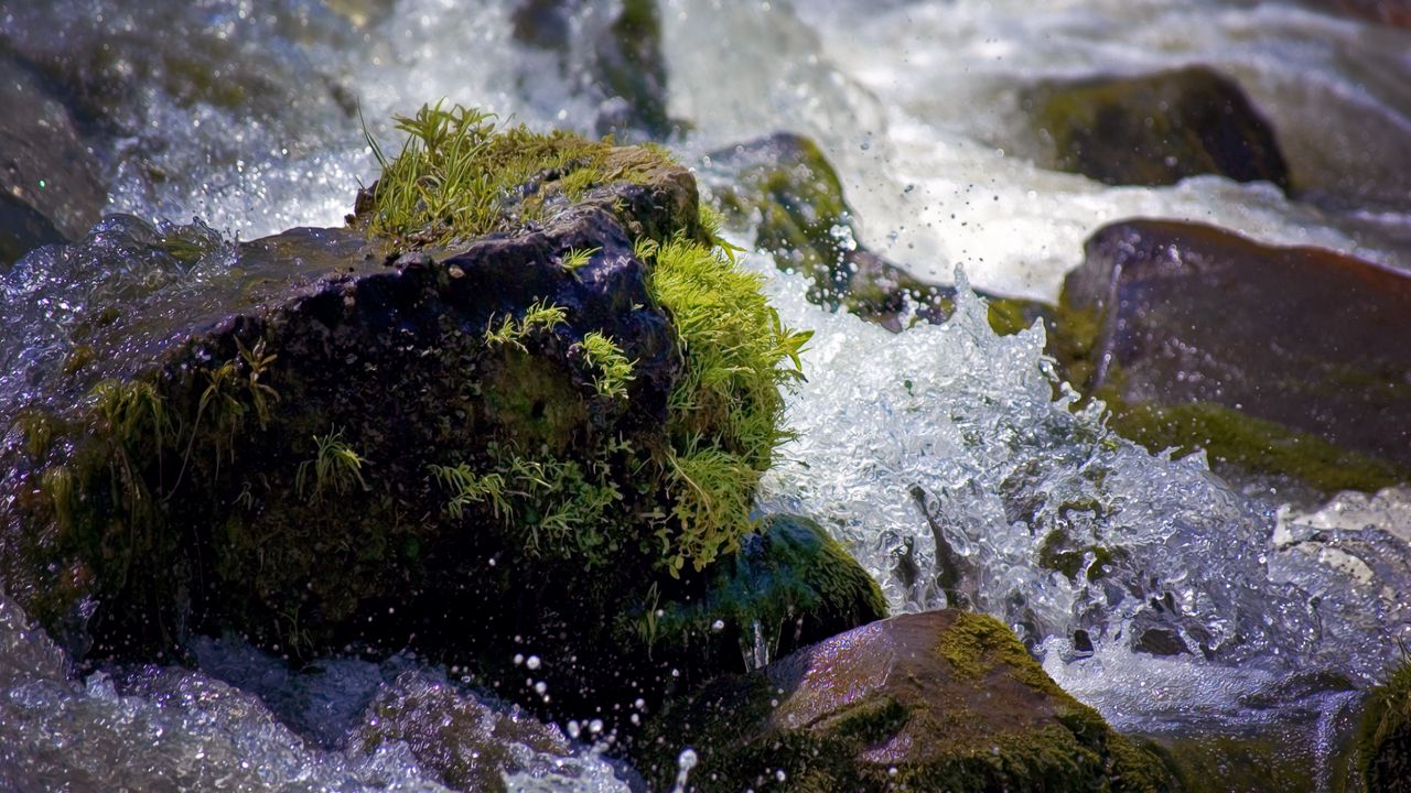 Wallpaper water, splashes, river, moss, stones, drops