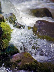 Preview wallpaper water, splashes, river, moss, stones, drops