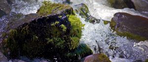 Preview wallpaper water, splashes, river, moss, stones, drops