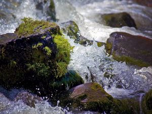 Preview wallpaper water, splashes, river, moss, stones, drops