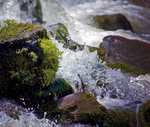 Preview wallpaper water, splashes, river, moss, stones, drops