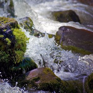 Preview wallpaper water, splashes, river, moss, stones, drops