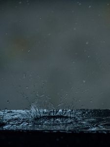 Preview wallpaper water, spray, drops, macro