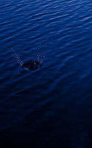 Preview wallpaper water, spray, splash, blue, dark