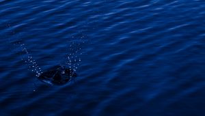 Preview wallpaper water, spray, splash, blue, dark