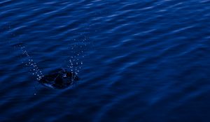 Preview wallpaper water, spray, splash, blue, dark