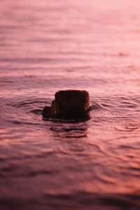 Preview wallpaper water, stone, ripples, wavy, surface