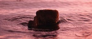 Preview wallpaper water, stone, ripples, wavy, surface