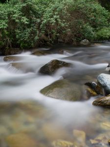 Preview wallpaper water, stones, fog, plants