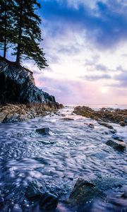 Preview wallpaper water, stream, flow, trees, stones, alaska