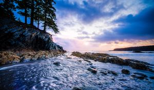 Preview wallpaper water, stream, flow, trees, stones, alaska