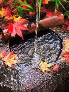 Preview wallpaper water, stream, leaves, autumn, stone