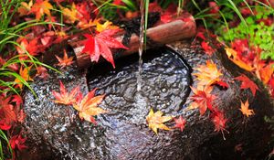 Preview wallpaper water, stream, leaves, autumn, stone