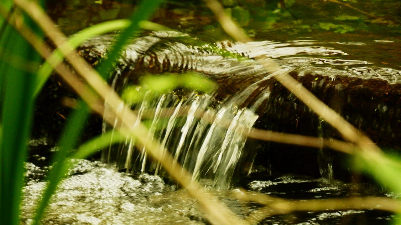 Wallpaper water, stream, nature