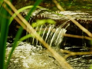 Preview wallpaper water, stream, nature