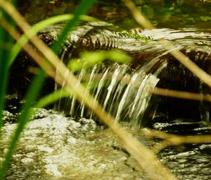 Preview wallpaper water, stream, nature