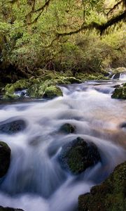 Preview wallpaper water, stream, river, stones, wood, moss, vegetation