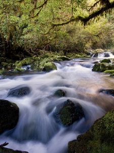 Preview wallpaper water, stream, river, stones, wood, moss, vegetation