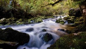 Preview wallpaper water, stream, river, stones, wood, moss, vegetation