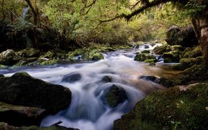 Preview wallpaper water, stream, river, stones, wood, moss, vegetation