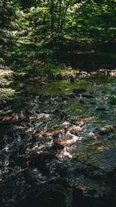 Preview wallpaper water, stream, stones, trees, forest, dark, nature